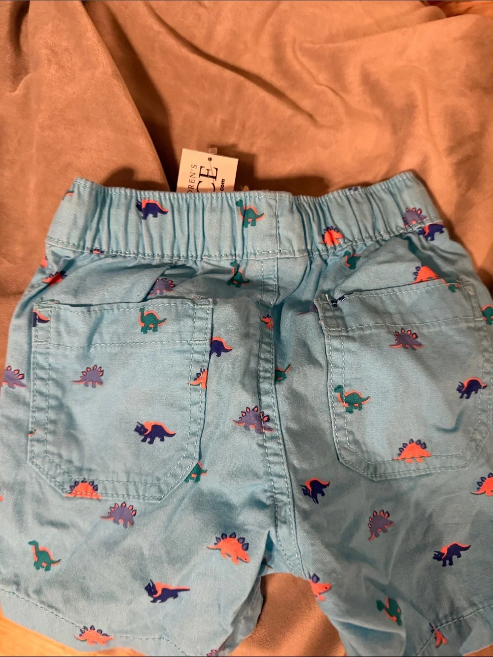 The Children's Place Light Blue Dino Swim Shorts
